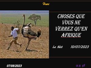 hr811_choses_que_vous_ne_verrez_qu_en_afrique