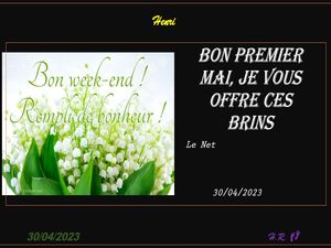 hr_bon_premier_mai_je_vous_offre_ces_riquet77570