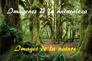 imagenes_de_la_naturaleza_ibolit