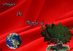 images_du_monde_3__dede_51