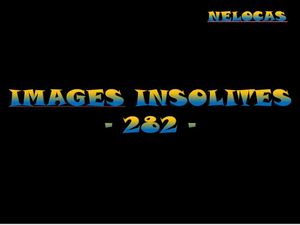 images_insolites_282_nelocas