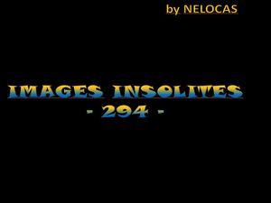 images_insolites_294_nelocas