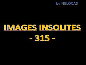 images_insolites_315_nelocas