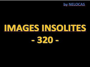 images_insolites_320_nelocas
