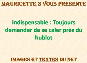 indispensable_toujours_demander_de_ce_caler_pres_du_hublot_mauricette3