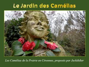 jardin_des_camelias_2__jackdidier