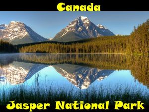 jasper_national_park_ibolit