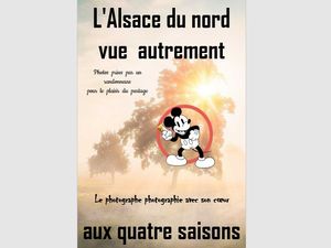 l_alsace_du_nord_vue_autrement_aux_quatre_saisons__roland