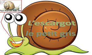 l_escargot_le_petit_gris_roland