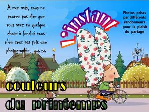 l_instant_couleurs_du_printemps__roland