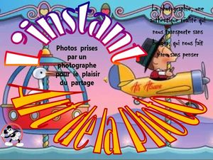 l_instant_de_l_art_dans_la_photo__roland