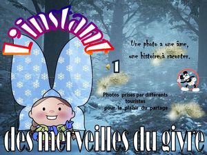l_instant_des_merveilles_du_givre_1__roland