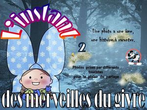 l_instant_des_merveilles_du_givre_2__roland