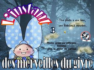 l_instant_des_merveilles_du_givre_3__roland