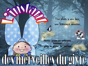 l_instant_des_merveilles_du_givre_4__roland
