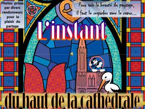 l_instant_du_haut_de_la_cathedrale_strasbourg__roland