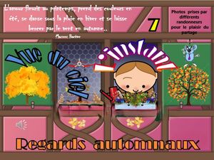 l_instant_regards_automnaux_vue_du_ciel_7__roland