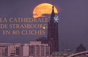 la_cathedrale_de_strasbourg_en_80_cliches_roland