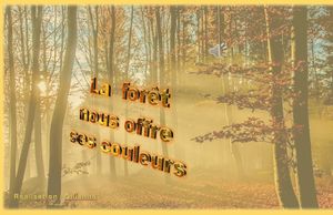 la_foret_nous_offre_ses_couleurs__gilianne