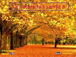 la_nature_fait_son_lit_8_michel