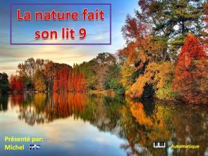 la_nature_fait_son_lit_9__michel