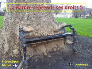 la_nature_reprends_ses_droits_5_michel