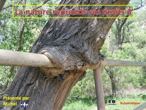 la_nature_reprends_ses_droits_6_michel