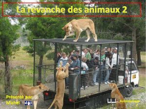 la_revanche_des_animaux_2_michel