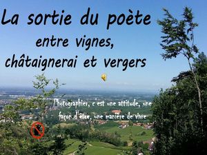 la_sortie_du_poete_entre_vignes_chataignerai_et_vergers_roland