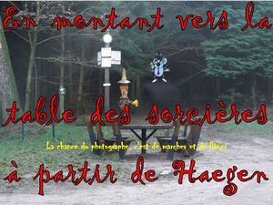 la_table_des_sorcieres_a_partir_de_haegen__roland