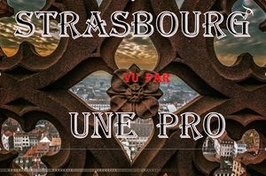 la_ville_de_strasbourg_vu_par_une_pro_roland