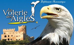 la_volerie_des_aigles_au_chateau_de_kientzheim_roland