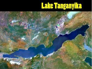 lake_tanganyika_ibolit