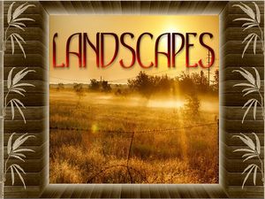 landscapes