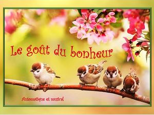 le__gout_du_bonheur__gilianne