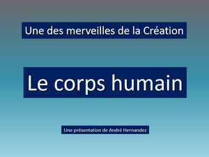 le_corps_humain