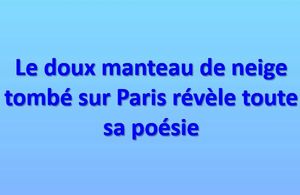 le_doux_manteau_de_neige_tombe_sur_paris_mauricette3