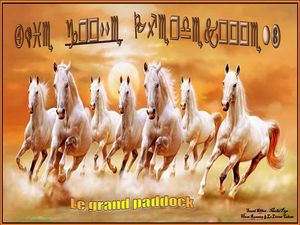 le_grand_paddock