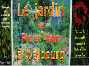le_jardin_de_pia_et_alain_a_walbourg__roland