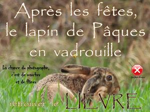 le_lapin_de_paques_en_vadrouille_retrouver_le_lievre__roland