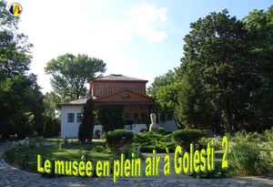 le_musee_en_plein_air_a_golesti_2_stellinna