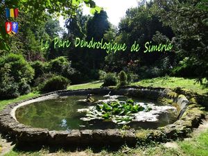 le_parc_dendrologique_de_simeria__stellinna