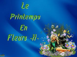 le_printemps_en_fleurs_2_dede_51