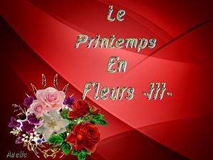 le_printemps_en_fleurs_3_dede_51