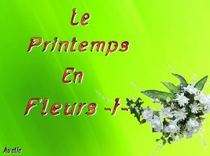 le_printemps_en_fleurs__dede_51