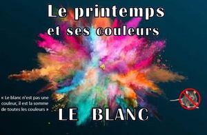 le_printemps_et_ses_couleurs_le_blanc_roland