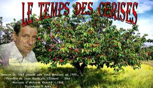 le_temps_des_cerises_apex