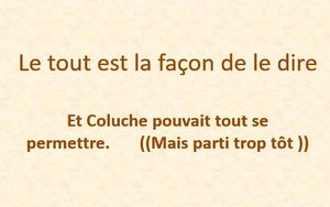 le_tout_est_la_facon_de_le_dire_mauricette3