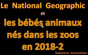 les_bebes_animaux_nes_dans_les_zoos_en_2018_2_roland