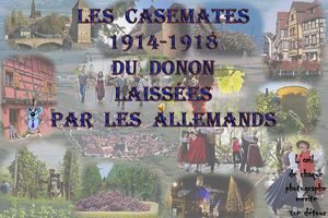 les_casemates_14_18_du_donon__roland